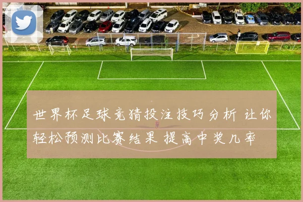 世界杯足球竞猜投注技巧分析 让你轻松预测比赛结果 提高中奖几率